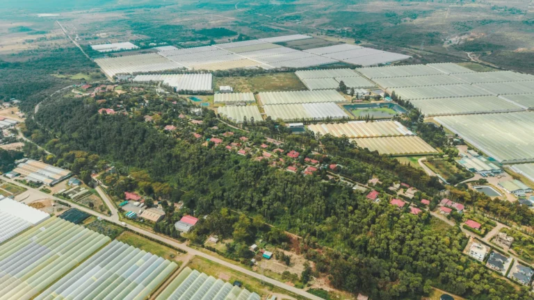 WeKnowNaivasha — Flower Business Park: Cultivating Land into Prosperity