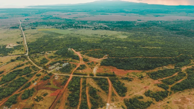 Introducing Hillima — Where Luxury Meets Nature