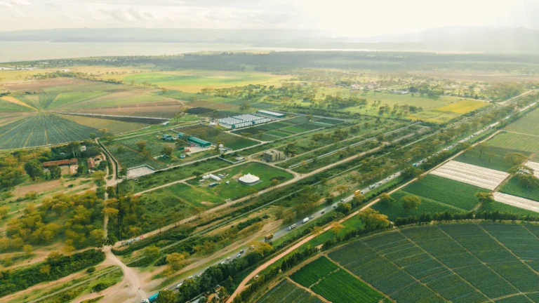 Why Invest in Naivasha: A Growing Hub of Opportunity